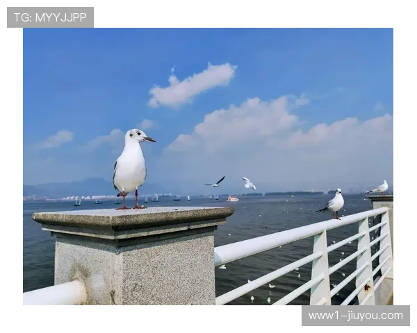 明特零度角绝杀证天赋 纪律问题成海鸥甜蜜烦恼